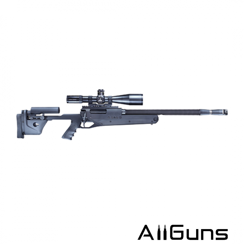 PGM Ludis .308 Winchester 23.6" avec silencieux PGM Précision - 1